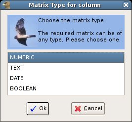 Matrix Type Editor