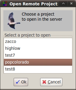 Open Remote Project